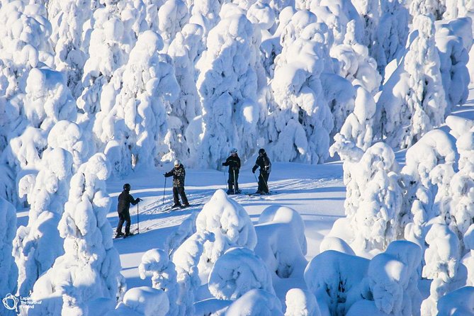Cross-Country Skiing Trip - Guides make the biggest difference