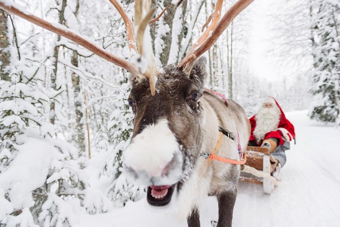 Daytour to Santa Claus Village, Reindeer and Husky Safaris, Photo, and Lunch - Why this tour makes sense in Rovaniemi