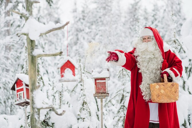 Daytour to Santa Claus Village, Reindeer and Husky Safaris, Photo, and Lunch - Reindeer safari: a calm 400-meter ride