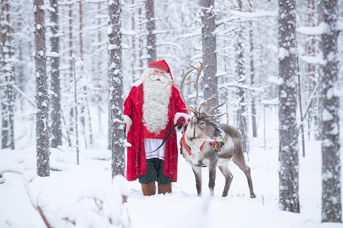 Daytour to Santa Claus Village, Reindeer and Husky Safaris, Photo, and Lunch - Husky safari: faster, louder, and more exciting