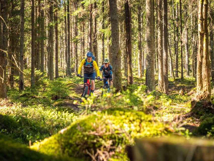 E-FatBike experience in small groups - Riding the snowy forest roads