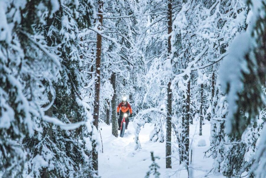 E-FatBike experience in small groups - The return ride: where control matters most
