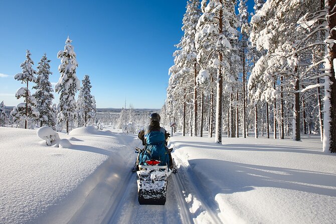 Easy Snowmobile Safari - Learning to handle the snowmobile