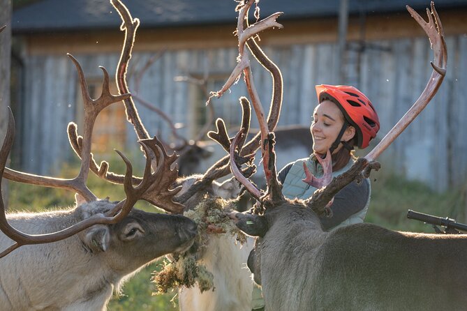 Electric Fatbike Trip to the Reindeer Farm - What the electric fatbike feels like