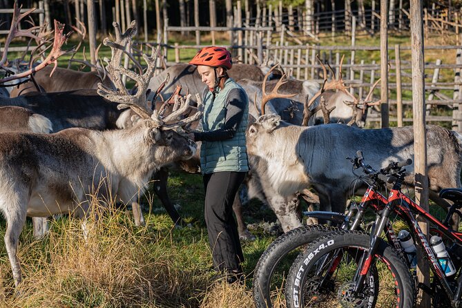 Electric Fatbike Trip to the Reindeer Farm - Weather, clothing, and cycling comfort