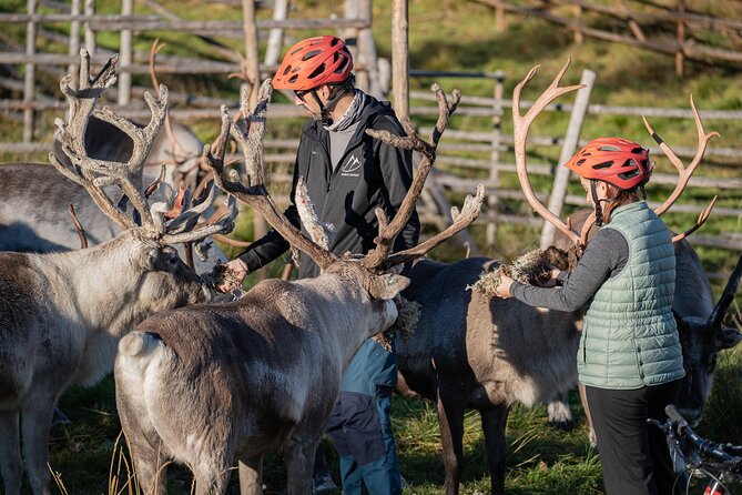 Electric Fatbike Trip to the Reindeer Farm - Booking details that matter