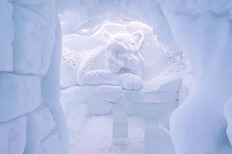 Entrance tickets to Snowman World and Snow Restaurant Dinner - Ice skating, tubing, and the large labyrinth slide
