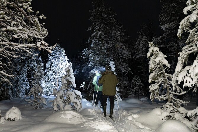 Evening Ski Trek to the Wilderness - Extra Small group - Learning the skis before entering the trees