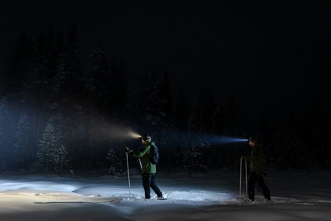 Evening Ski Trek to the Wilderness - Extra Small group - Skiing through snowy forest and frozen swamps