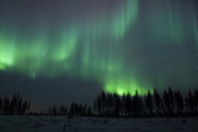 Evening Ski Trek to the Wilderness - Extra Small group - From Rovaniemi to Perunkajärvi after dark