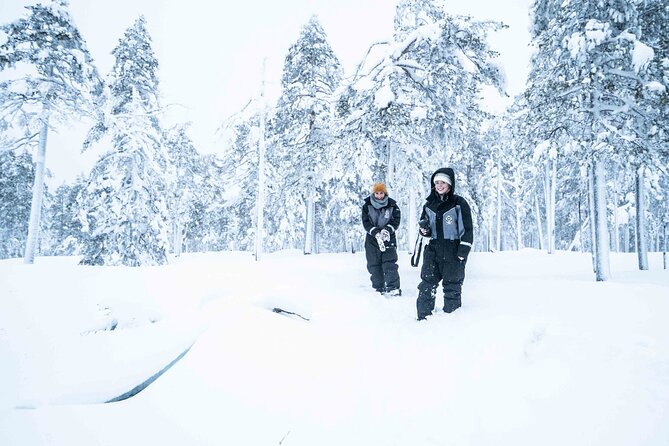 Explore the Wilderness - Leaving Rovaniemi for Arctic forest