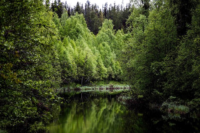 Explore the Wilderness (Summer & Autumn) - Key points to know before booking