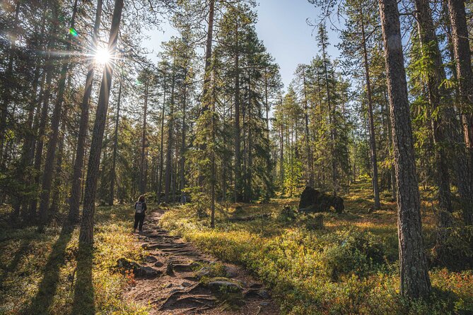 Explore the Wilderness (Summer & Autumn) - Is the $159.48 price good value?
