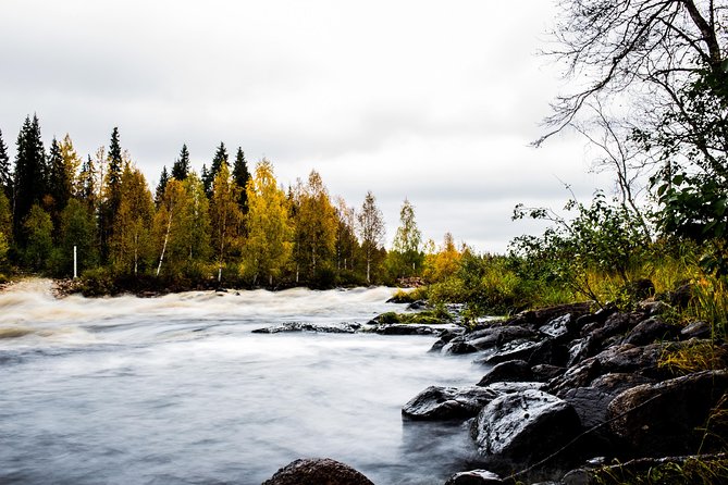 Explore the Wilderness (Summer & Autumn) - Starting the forest walk at Vikaköngäs