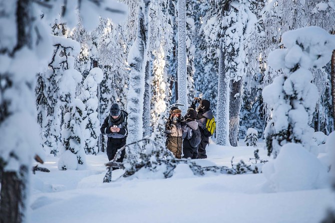 Explore the Wilderness - A 4-kilometer walk with room to look around