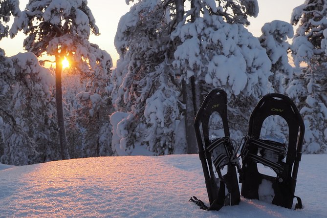 Explore Winter Woods: Snowshoe walk with local Biologist - Key points to know before you book
