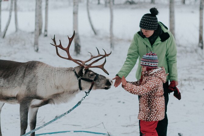 Family day: Reindeer, Husky and Snowmobiling in Levi - Key things to know before booking