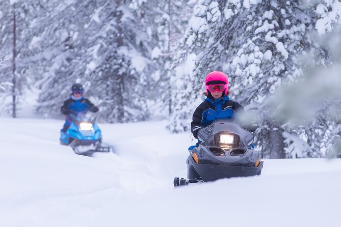Family day: Reindeer, Husky and Snowmobiling in Levi - What this five-hour Levi outing really offers