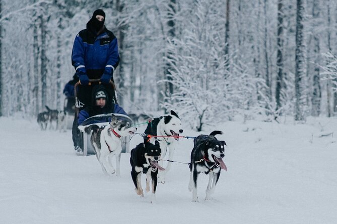 Family day: Reindeer, Husky and Snowmobiling in Levi - Lunch in a traditional kota