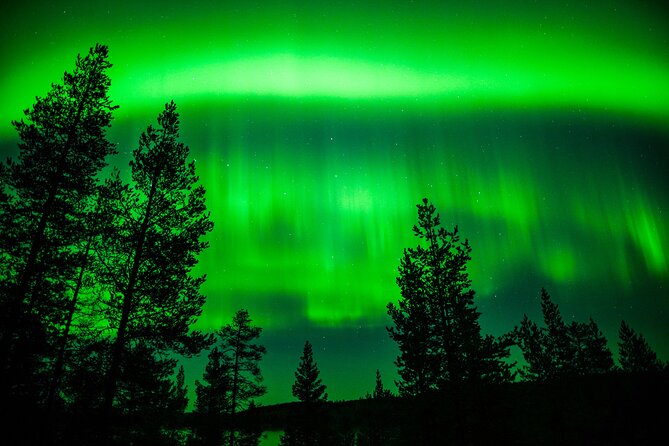 Family-Friendly: Northern Lights Adventure from Rovaniemi - How the three-hour length works for families