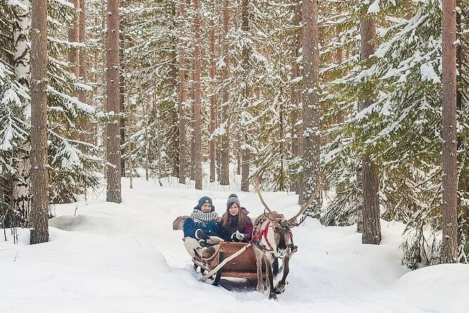 Forest Trail Reindeer Safari - Getting there and avoiding a transport mix-up