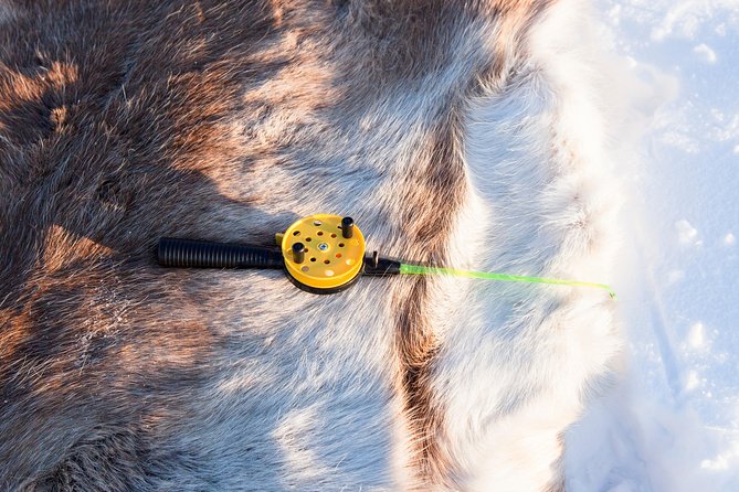 From Ivalo: Ice Fishing Safari to Lake Inari, reindeers & lunch - Reindeer on an island