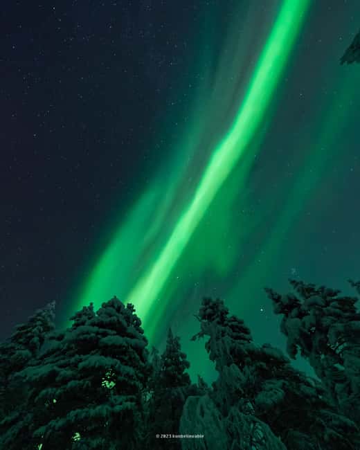 From Rovaniemi: Aurora Borealis Hunting with Photos & Videos - The value of $136 for a six-hour search