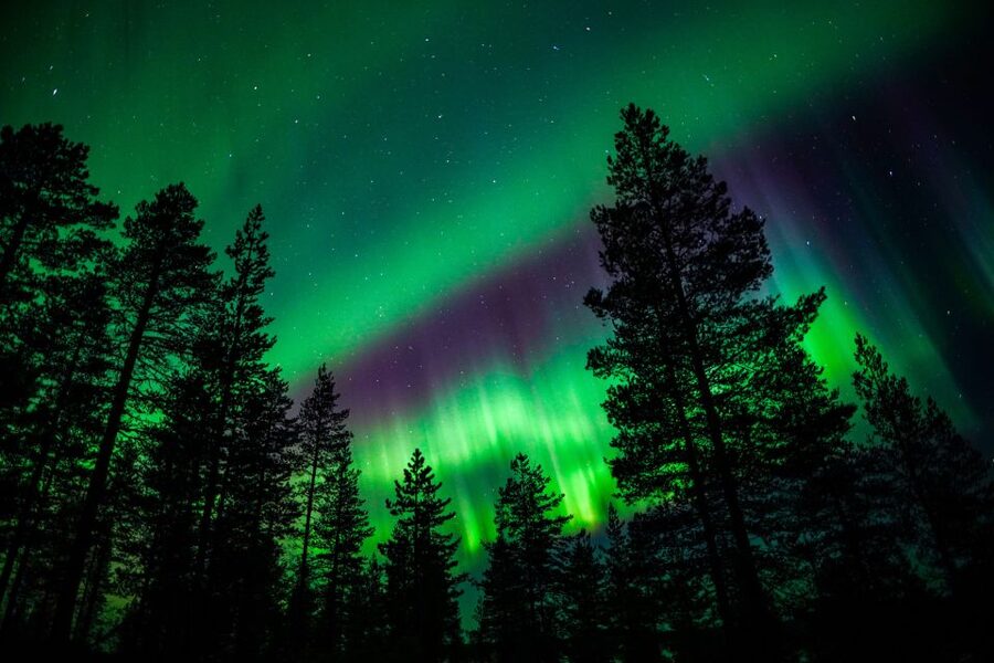 From Rovaniemi: Family-Friendly Northern Lights Tour - Key points at a glance
