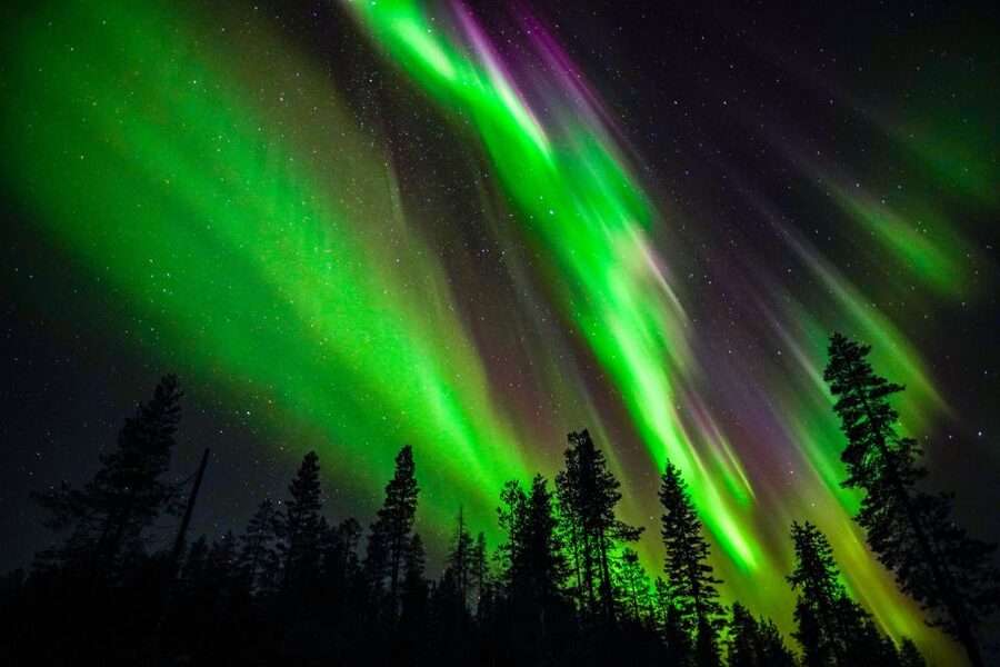 From Rovaniemi: Family-Friendly Northern Lights Tour - Why this family aurora tour works