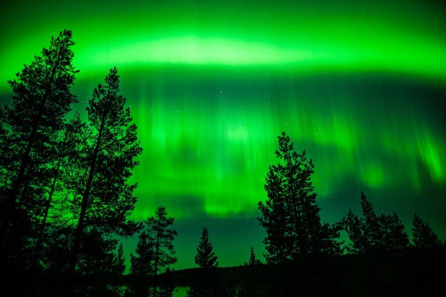 From Rovaniemi: Family-Friendly Northern Lights Tour - What happens if the aurora appears