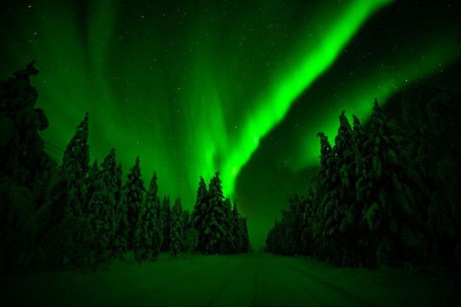 From Rovaniemi: Family-Friendly Northern Lights Tour - The advantage of a group limited to eight