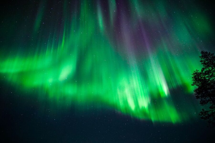 From Rovaniemi: Family-Friendly Northern Lights Tour - Booking tips for a smoother night