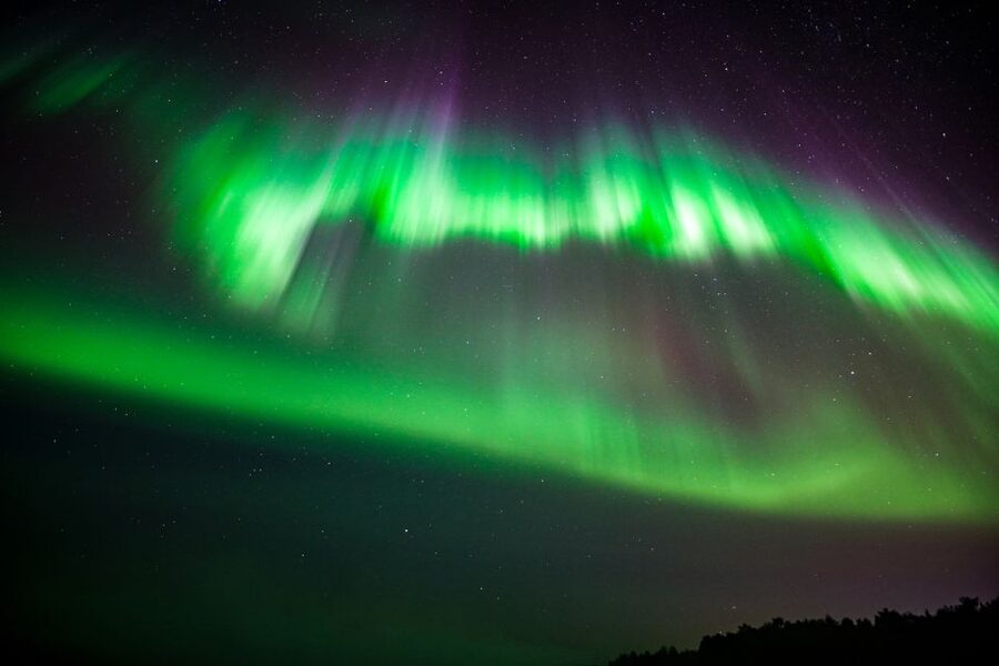 From Rovaniemi: Family-Friendly Northern Lights Tour - Leaving Rovaniemi for the dark forest