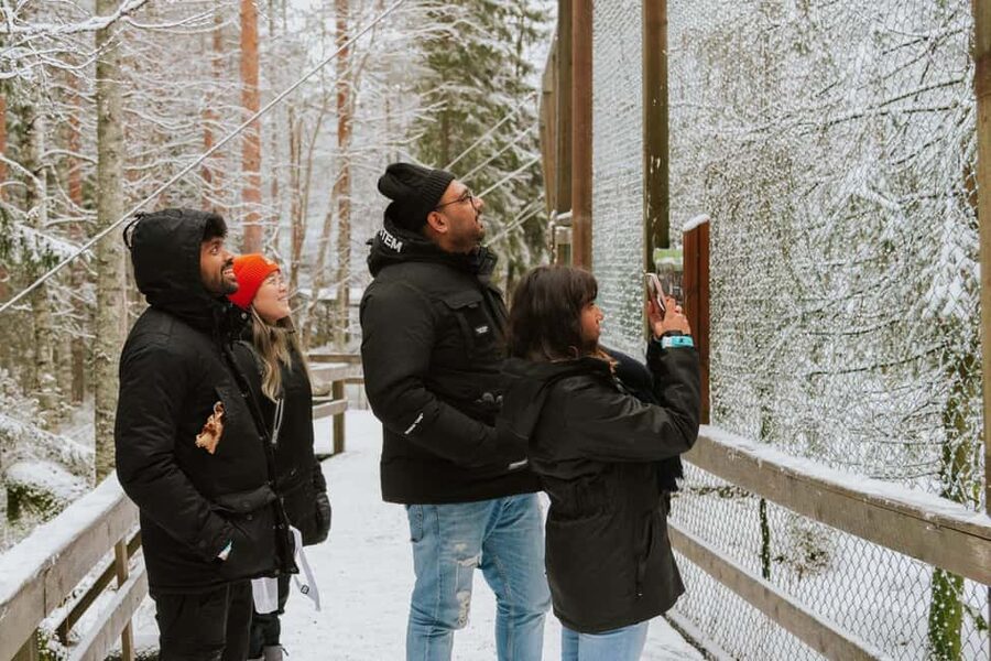From Rovaniemi: Family Friendly Visit to Ranua Wildlife Park - Key points at a glance