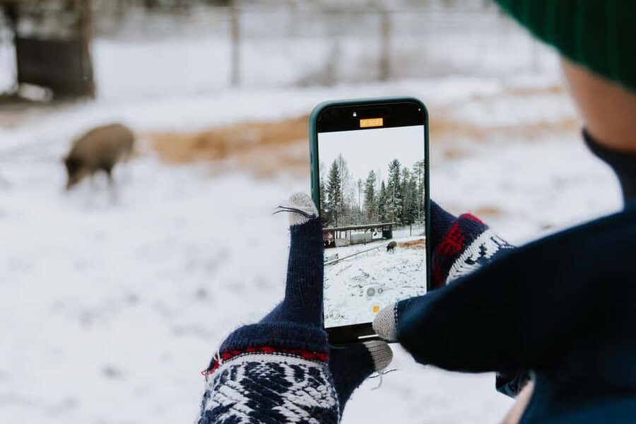 From Rovaniemi: Family Friendly Visit to Ranua Wildlife Park - Why Ranua makes sense from Rovaniemi