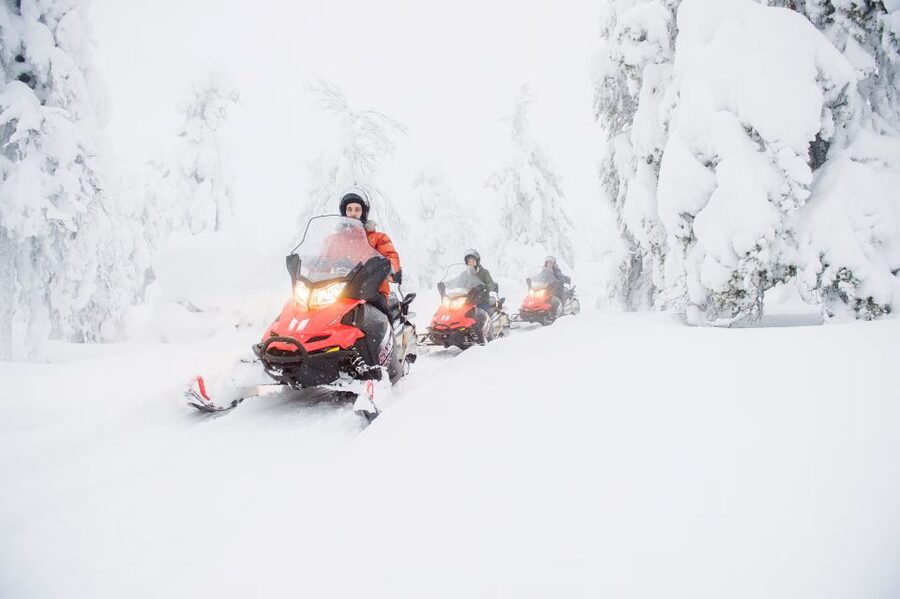 From Rovaniemi: Guided Lapland Snowmobile Adventure - Through Taiga forest and across frozen ground