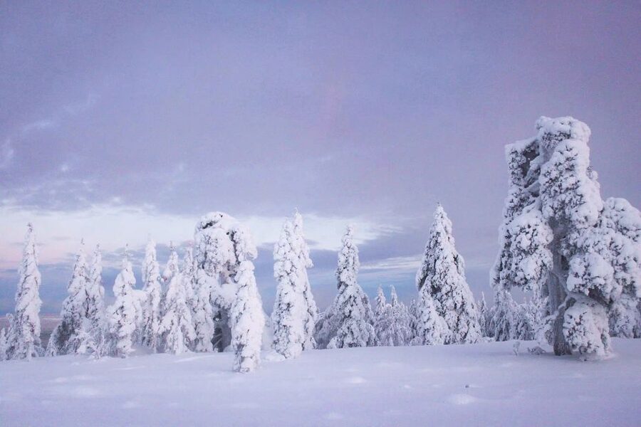 From Rovaniemi: Guided Lapland Snowmobile Adventure - What the ride feels like in real conditions