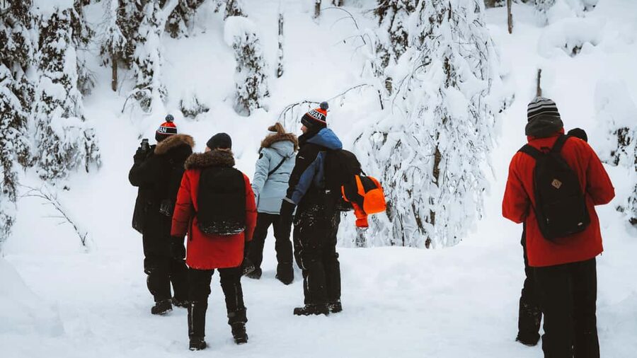 From Rovaniemi: Korouoma & Auttiköngäs Frozen Waterfalls - Who should book this six-hour outing?