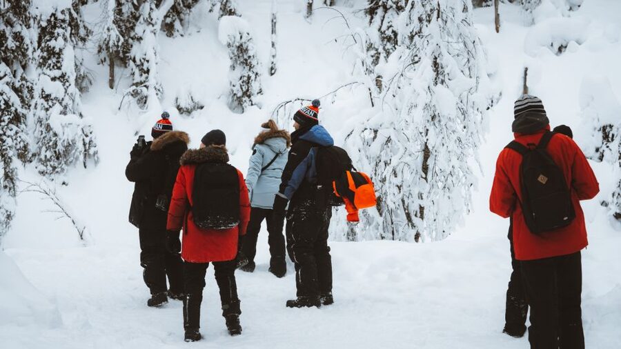 From Rovaniemi: Korouoma Canyon and Frozen Waterfalls Tour - Is $136 a fair price?