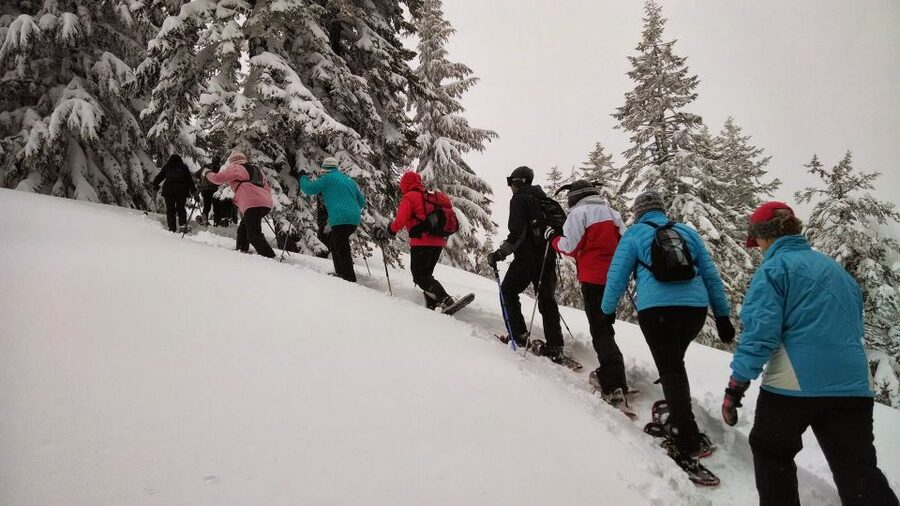 From Rovaniemi: Korouoma Frozen Waterfalls Small-Group Hike - Key points to know before booking