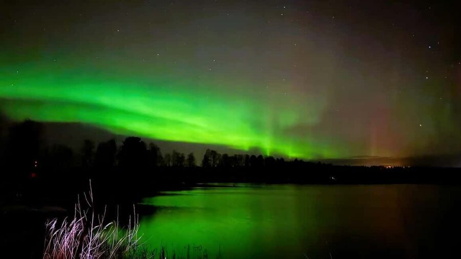 From Rovaniemi: Night Tour in Search of the Aurora with BBQ - The fireplace meal: more than a snack
