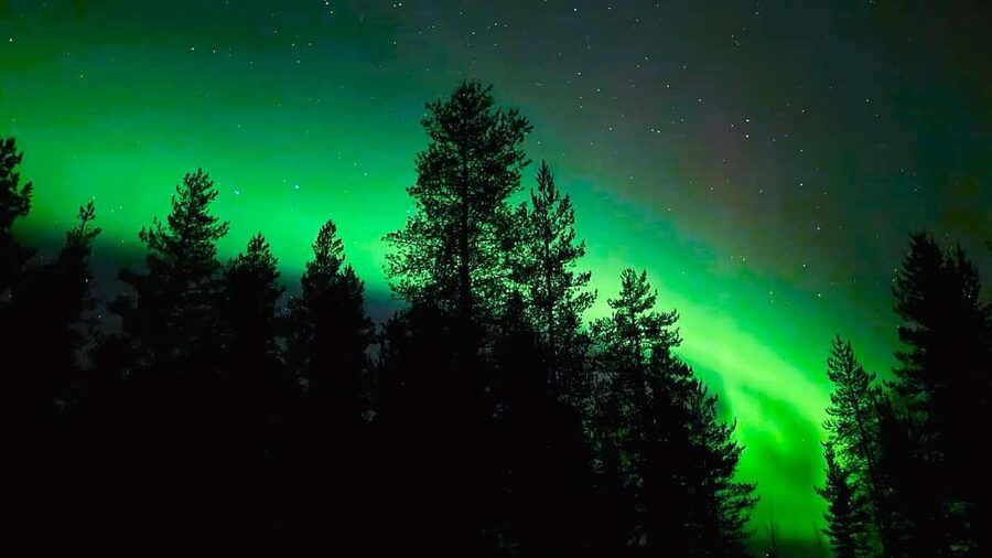 From Rovaniemi: Night Tour in Search of the Aurora with BBQ - Transport, timing, and cold-weather planning