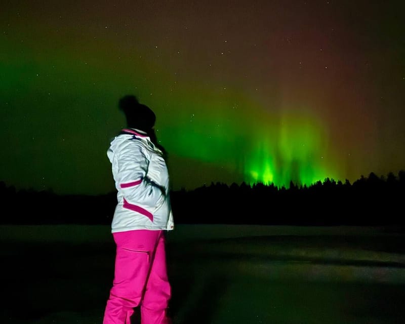 From Rovaniemi: Night Tour in Search of the Aurora with BBQ - Is $85 a fair price?