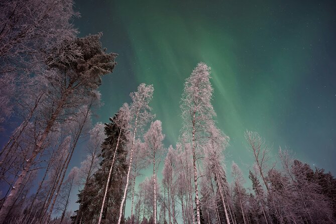 From Rovaniemi: Northern Lights Tour with Campfire Snacks - Leaving Rovaniemi for Olkkajärvi Lake