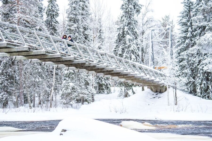 From Rovaniemi: Private Photoshoot in the Lappish Wilderness - Small details that improve the experience