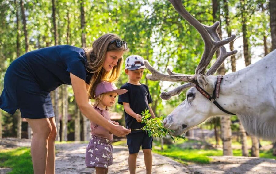 From Rovaniemi: Reindeer Farm Visit with Sleigh Ride - Warming up inside the kota hut