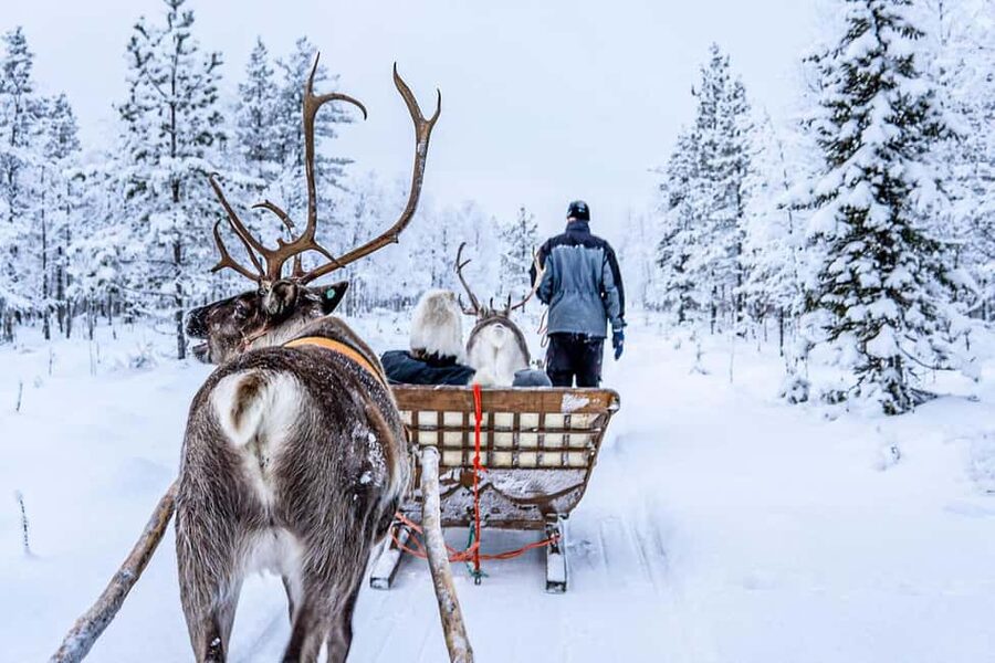 From Rovaniemi: Reindeer Farm Visit with Sleigh Ride - What the $129 price really covers