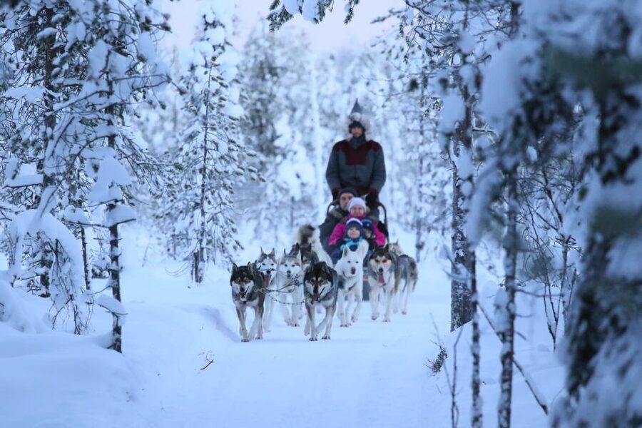 From Rovaniemi: Self-Driven 10km Husky Sled Ride - The guide can shape the whole day