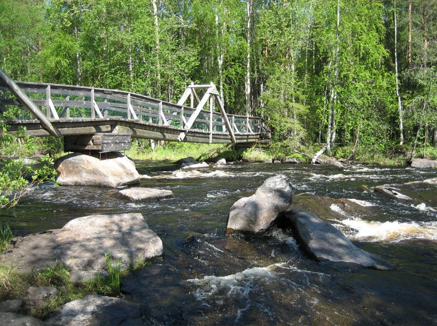 From Rovaniemi: Vikaköngäs Forest Hiking Tour - A fast escape from Rovaniemi into the woods