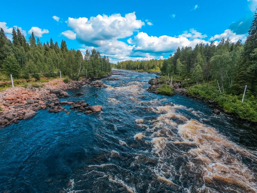 From Rovaniemi: Vikaköngäs Forest Hiking Tour - What the guide adds to a short visit